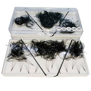Vente en gros 14D coréen PBT extensions de cils préfabriquées 0.07mm d'épaisseur CC Curl facile modèle 6D avec base pointue étroite thermocollée - Product Image 1