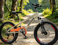 Vélo pour enfants JIAFENG, vélo de montagne pour enfants, vélo pour enfants de 22 pouces, vélo à vitesses, vélo de sport - BB113
