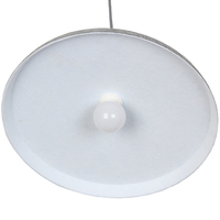 Luminaire suspendu acoustique en feutre gris à économie d'énergie, angle de faisceau 360°, blanc chaud doux 2700K, garantie 2 ans pour la maison et le bureau