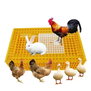 Casse di trasporto di pollo di alta qualità 3 dvirka baby pollo pollame arancione plastica pollo gabbie di trasporto, plastica ch