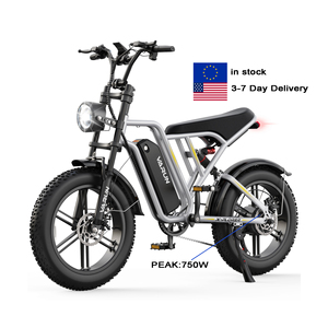 Pedido al por Mayor, Dropshipping, Bicicleta Eléctrica VARUN con Neumáticos Gruesos de 20 Pulgadas, Alcance de 65 km, 500 W, 40 km/h, Suspensión Completa, para Hombre, Almacén en la UE - Product Image 1