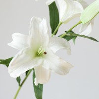 Gesimuleerde textuur PU realistische hydraterende paardenbloem hortensia kunstbloemen boeket bloemstuk bruiloft decoratie LANTAN model 08