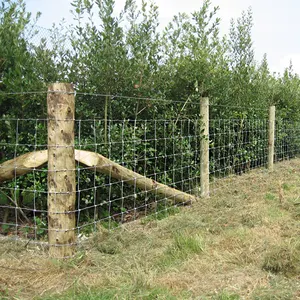 Prezzo economico del recinto del bestiame della rete metallica del campo dell'azienda agricola galvanizzato della recinzione della capra di 4 ft 5 ft