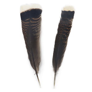 En stock, vente en gros, <span class=keywords><strong>plumes</strong></span> de queue de dinde naturelles de haute qualité pour costumes de carnaval, danse, artisanat d'Halloween - Product Image 2