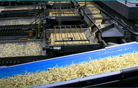 Volledig Automatische Multifunctionele Jammachine/Voedselveilige RVS Groente- en Fruitverwerkingslijn