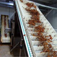 1 ~ 60 Ton Per Uur Industriële Hoogwaardige Aardbeienpulpverwerkingsmachine Productielijn Aardbeienverwerkingsmachines