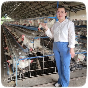 Gabbia di capacità per uccelli 128, strato di kenya, gabbie di gallina per uccelli 1000, piccolo piano di allevamento - Product Image 1