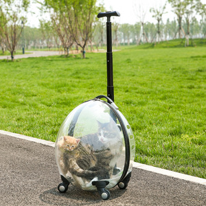 Transparent Pet Carrier Egg Shape Large Capacity <b>Dog</b> Stroller Airline <b>Crate</b> For Travel - Product Image 3