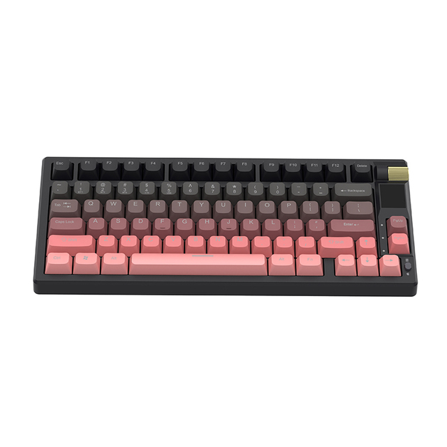 Factory New OEM 75% Wired Mechanical Gaming Keyboard 82-Key LED RGB Type-C Mechanical Gaming Keyboard Gasket Mechanical Keyboard