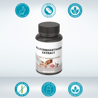 Capsules d'extrait d'ail et d'aubépine pour adultes OEM/ODM (Produit de santé) Favorise une microcirculation saine Allicine