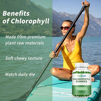 Gummies de chlorophylle à marque privée OEM – Complément alimentaire naturel à base de plantes pour l'éclat de la peau des adultes, bienfaits antioxydants quotidiens