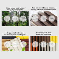 Panel de pared estriado WPC personalizado de alta calidad, listón ignífugo impermeable para diseño de interiores, estilo moderno con función antiestática