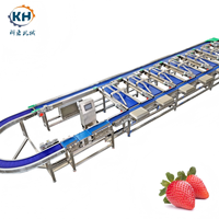 Multi-level gewichtsclassificatiemachine voor het sorteren van fruit en groenten, hoge efficiëntie, op maat gemaakt, 3-18 sorteerstanden