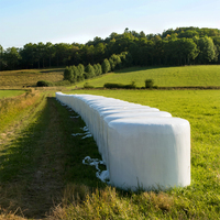 Film d'emballage noir et blanc souple en LDPE moulé par soufflage, résistant aux UV, pour balles de foin et de paille, destiné à l'agriculture et aux légumes