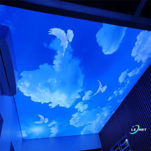 Paneles de Techo Iluminados Translúcidos Blancos LED LeArt Elevator 4011 de <span class=keywords><strong>PVC</strong></span>, Paneles de Película para Techo Falso en Foshan - Product Image 4