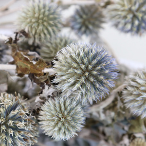 Bán buôn trang trí với bảo quản thông và cây Bách Hoa khô màu xanh lá cây cây lá kim cây cho cây trang trí - Product Image 4