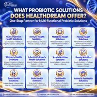 Fabricant OEM de probiotiques en gros – Mélange anti-stress 600 milliards d'UFC/g pour capsules, bandes et comprimés pressés