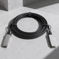Cable Óptico Activo QSFP-100G-AOC5M QSFP-100G-AOC20M= 100G QSFP28 de 5/10m AOC para Interconexión de Servidores en Centros de Datos