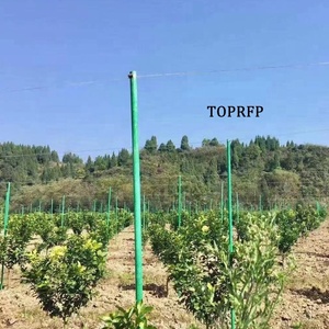 Passion Fruit Support Pole Vegetable Shed Fiberglass Fiber Pole Arch Shed Fiber Tube Fence - Product Image 6