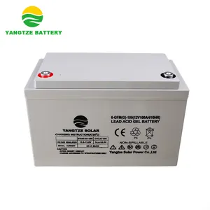 Gratis Verzending 12V 95ah Batterij