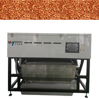 Machine de tri optique des amandes WENYAO pour éliminer les amandes cuivrées, moissonnées, abîmées et les amandes brutes blanchies