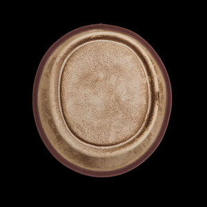 100% Australian Wool Fashion Felt <strong>Hat</strong> for Adults - Product Image 4