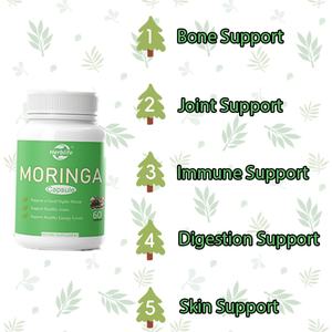 Capsule de Moringa OEM/ODM pour l'énergie, la peau, le système immunitaire et la santé intestinale, riche en antioxydants, en vitamines essentielles et en acides aminés - Product Image 3