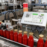 Imprimante jet d'encre en ligne DOCOD T210E, version cryptée, machine de codage de date et de codes-barres thermique TIJ avec deux têtes d'impression