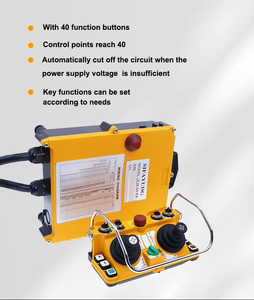 Nuevo Joystick de control remoto de grúa para Manipuladores telescópicos - Product Image 5
