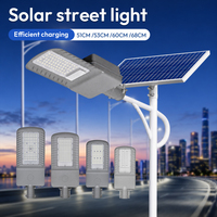 Nouvelle Arrivée Lampadaires Solaires 6000K IP65 30W-200W 51CM-68CM avec Boîtier ABS, Éclairage de Sécurité Solaire pour Jardin, Rue, Terrasse