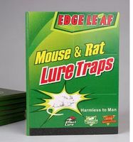 Piège à souris solide en colle anti-rongeurs Guangdong Green Strong pour les gros souris domestiques