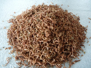 Khô Máu Đóng Băng Côn Trùng Red Worm Thực Phẩm Bể Cá Cảnh Nhiệt Đới Cá Nụ Hôn Discus Betta Bảy Màu Koi Bò Sát Thức Ăn Rùa - Product Image 3