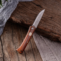 Couteau de camping pliant portable en acier inoxydable multi-usage, outil manuel pour éplucher fruits et viande, idéal pour manger du bois, produit transfrontalier