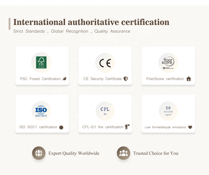 Parquet de Nogal Negro Moderno con Certificación CE/ISO, 100 Modelos Opcionales, Precio de Fábrica, para Uso en Almacenes y Parques - Product Image 6