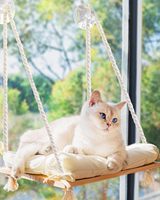Perchoir de fenêtre pour chat avec ventouses de qualité industrielle - Lit hamac en bois de pin massif, coussin moelleux, capacité de 42 lb pour chats d'intérieur