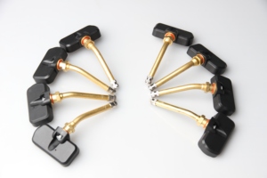 Gobiz TPMS numérique robuste pour camions avec capteurs internes - Product Image 4