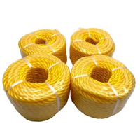 Corde de tresse creuse PP PE pour la ligne de travail de l'industrie du gréement 1/6 3 ou 4 brins PP PE torsion double torsion