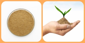 1 Usine à bas prix Bactérie Azotobacter Poudre brun clair Agriculture Utilisation 10 milliards d'UFC/g Ingrédient actif de qualité industrielle - Product Image 4