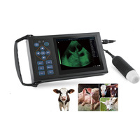 Scanner à ultrasons sans fil portable pour l'équipement vétérinaire à usage agricole pour vérifier la grossesse du bétail du chien
