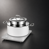 Witte ronde chafing dish, waterbad- of inductiekookplaat verwarming, roestvrijstalen buffetwarmer voor hotelbanketten en catering