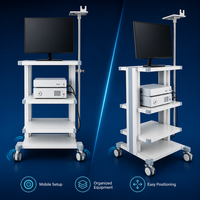 Système d'endoscopie vétérinaire modèle D en acier inoxydable de classe II pour gastroscopie animale, diagnostic des petits animaux, fourni directement par l'usine