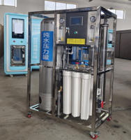 Système d'osmose inverse à réservoir sous pression en acier inoxydable de 500 L de qualité sanitaire pour l'eau potable