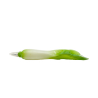 Nieuwe grappige fruit- en groentethema promotionele novelty cadeau balpen met koelkastmagneten 1.0mm schrijfbreedte plastic