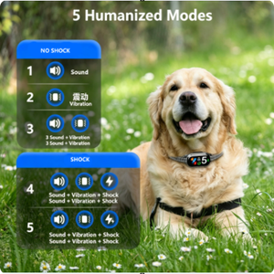 2er-Pack Automatisches <span class=keywords><strong>Anti</strong></span>-Bell-Halsband 4 Trainingsmodi IP67 Wasserdichtes Hunde-Erziehungshalsband mit TFT-Farbbildschirm Bellzähler - Product Image 3