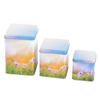 Boîtes en fer blanc carrées personnalisées de qualité alimentaire pour thé et café, emballages métalliques écologiques et recyclables pour boissons