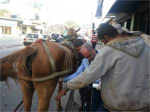 2024 termurah genggam portabel dokter hewan pemindai Ultrasound <span class=keywords><strong>probe</strong></span> Mini mesin Ultrasound untuk reproduksi - Product Image 6