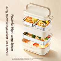 Boîte à lunch chauffante électrique portable Great Bear en acier inoxydable 304, double couche, 250W, pour adultes