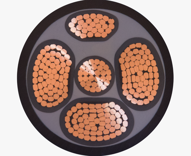 XLPE Insulated PE Sheathed Copper Aluminum Power Cable for Building Distribution Substation and Infrastructure Projects