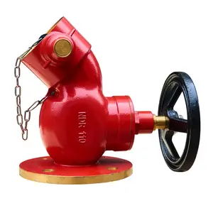 Ca-Fire DN50 DN65室内落地阀价格有竞争力的专业室内消火栓