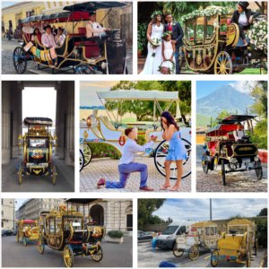 รถม้าสำหรับงานแต่งงานแบบราชวงศ์ รถม้าชมวิวสำหรับผู้โดยสารในสวนสาธารณะ งานแสดงสินค้ายุโรป ปี 2025 - Product Image 6